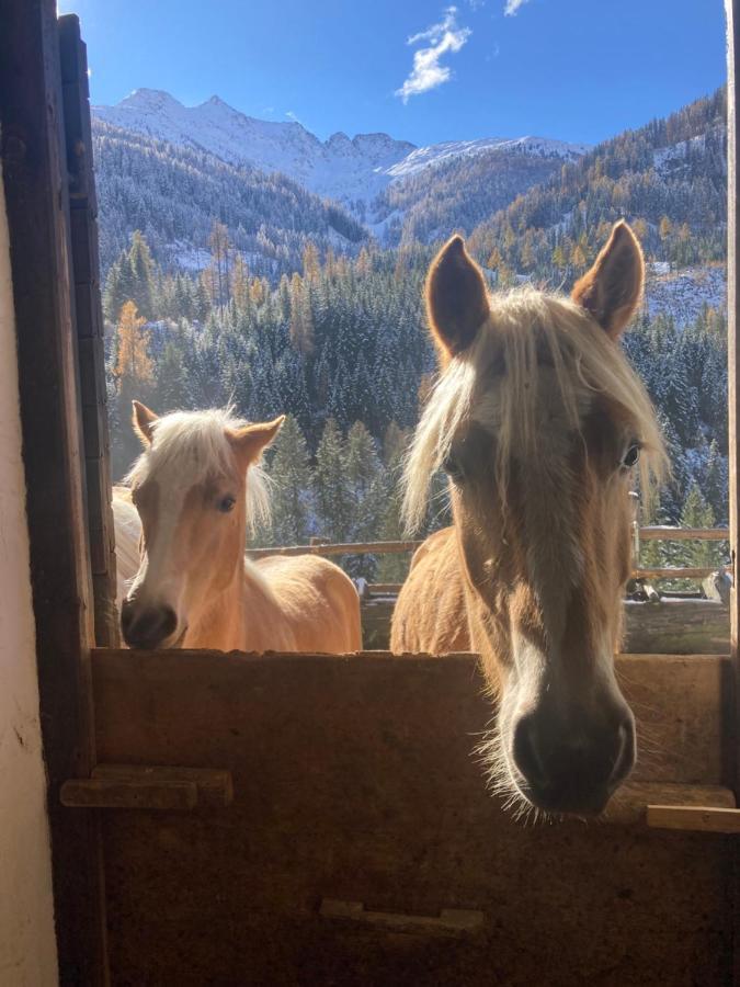 Ferienwohnungen-Lippenhof Sankt Jakob in Defereggen Exteriör bild